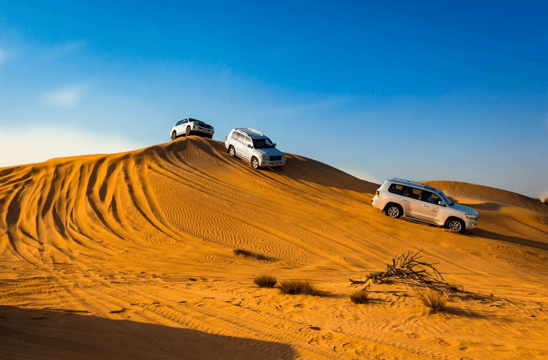 Ultimate Guide to Premium SUV Rentals for Desert Safaris Navigational Tools renemullen.com